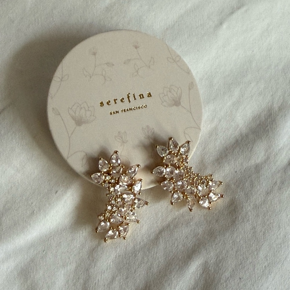 BHLDN Earrings
